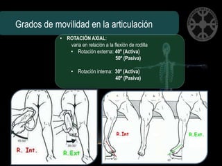 Grados de movilidad en la articulación
            • ROTACIÓN AXIAL:
               varia en relación a la flexión de rodi...