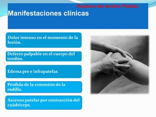 Ruptura del tendón Patelar

Manifestaciones clínicas

Dolor intenso en el momento de la
lesión.

Defecto palpable en el cuerpo del
tendón.
Edema pre e infrapatelar.
Pérdida de la extensión de la
rodilla.
Ascenso patelar por contracción del
cuádriceps.

 