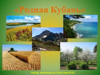 «Родная Кубань»
Автор: воспитатель Сигутина Н.Н.