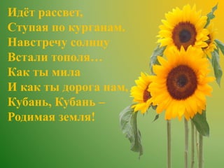 Идёт рассвет,
Ступая по курганам.
Навстречу солнцу
Встали тополя…
Как ты мила
И как ты дорога нам,
Кубань, Кубань –
Родимая земля!