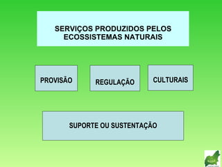 SERVIÇOS PRODUZIDOS PELOS ECOSSISTEMAS   NATURAIS SUPORTE OU SUSTENTAÇÃO PROVISÃO REGULAÇÃO CULTURAIS 