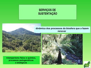 SERVIÇOS DE  SUSTENTAÇÃO intemperismo físico e químico,  processos pedogenéticos  e biológicos   dinâmica dos processos da biosfera que a fazem renovar   