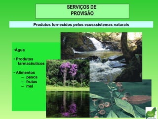 Água Produtos farmacêuticos Alimentos pesca frutas mel Produtos fornecidos pelos ecosssistemas naturais SERVIÇOS DE  PROVISÃO 