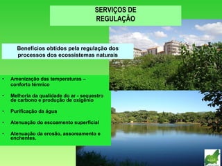 Amenização das temperaturas –  conforto térmico Melhoria da qualidade do ar - sequestro de carbono e produção de oxigênio Purificação da água Atenuação do escoamento superficial Atenuação da erosão, assoreamento e enchentes. SERVIÇOS DE REGULAÇÃO Benefícios obtidos pela regulação dos processos dos ecossistemas naturais 