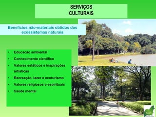 Educacão ambiental Conhecimento científico Valores estéticos e inspirações artísticas Recreação, lazer e ecoturismo Valores religiosos e espirituais Saúde mental SERVIÇOS CULTURAIS Benefícios não-materiais obtidos dos ecossistemas naturais 