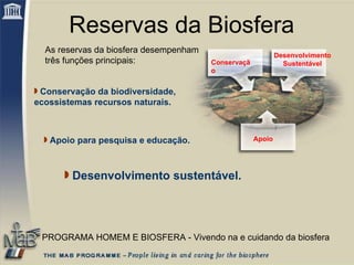 Conservação Desenvolvimento Sustentável Apoio  Reservas da Biosfera As reservas da biosfera desempenham três funções principais: Conservação da biodiversidade, ecossistemas recursos naturais. Desenvolvimento sustentável. Apoio para pesquisa e educação. PROGRAMA HOMEM E BIOSFERA - Vivendo na e cuidando da biosfera 
