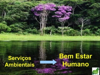 Serviços Ambientais Bem Estar Humano 