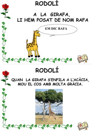RODOLÍ
RODOLÍ
A LA GIRAFA,
LI HEM POSAT DE NOM RAFA
QUAN LA GIRAFA S’ENFILA A L’ACÀCIA,
MOU EL COS AMB MOLTA GRÀCIA.
EM DIC RAFA
 