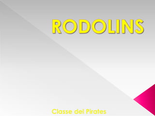 Rodolins