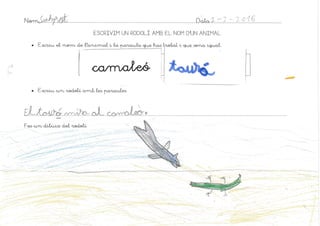 Rodolins amb animals