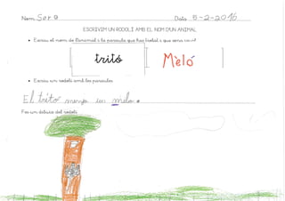 Rodolins amb animals