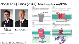 Nobel en Química (2012): Estudios sobre los GPCRs
Robert J.
Lefkowitz
Brian K. Kobilka
6 December 2012, Vol. 492, Nature, 57
Photos: U. Montan
 