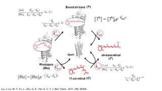 Liu, J; Liu, M. Y.; Fu, L.; Zhu, G. A.; Yan, E. C. Y. J. Biol. Chem., 2011, 286, 38408.
 
