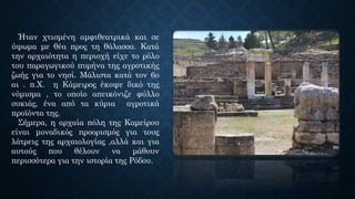 Ήταν χτισμένη αμφιθεατρικά και σε
ύψωμα με θέα προς τη θάλασσα. Κατά
την αρχαιότητα η περιοχή είχε το ρόλο
του παραγωγικού πυρήνα της αγροτικής
ζωής για το νησί. Μάλιστα κατά τον 6ο
αι . π.Χ. η Κάμειρος έκοψε δικό της
νόμισμα , το οποίο απεικόνιζε φύλλο
συκιάς, ένα από τα κύρια αγροτικά
προϊόντα της.
Σήμερα, η αρχαία πόλη της Καμείρου
είναι μοναδικός προορισμός για τους
λάτρεις της αρχαιολογίας ,αλλά και για
αυτούς που θέλουν να μάθουν
περισσότερα για την ιστορία της Ρόδου.
 