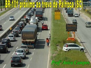 BR-101 próximo ao trevo de Palhoça (SC) Profª Anira Campos 