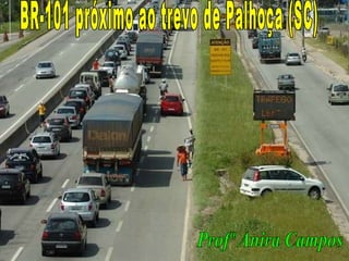 BR-101 próximo ao trevo de Palhoça (SC) Profª Anira Campos 