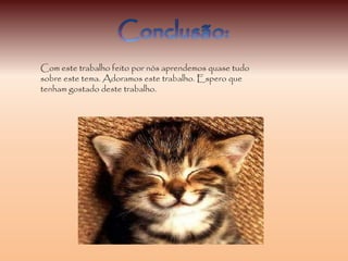 Com este trabalho feito por nós aprendemos quase tudo
sobre este tema. Adoramos este trabalho. Espero que
tenham gostado deste trabalho.
 