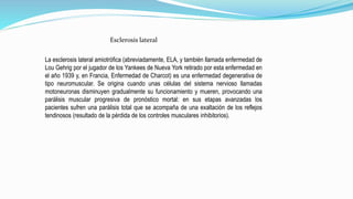 Esclerosis lateral 
La esclerosis lateral amiotrófica (abreviadamente, ELA, y también llamada enfermedad de 
Lou Gehrig por el jugador de los Yankees de Nueva York retirado por esta enfermedad en 
el año 1939 y, en Francia, Enfermedad de Charcot) es una enfermedad degenerativa de 
tipo neuromuscular. Se origina cuando unas células del sistema nervioso llamadas 
motoneuronas disminuyen gradualmente su funcionamiento y mueren, provocando una 
parálisis muscular progresiva de pronóstico mortal: en sus etapas avanzadas los 
pacientes sufren una parálisis total que se acompaña de una exaltación de los reflejos 
tendinosos (resultado de la pérdida de los controles musculares inhibitorios). 
 