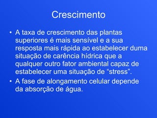 Crescimento A taxa de crescimento das plantas superiores é mais sensível e a sua resposta mais rápida ao estabelecer duma situação de carência hídrica que a qualquer outro fator ambiental capaz de estabelecer uma situação de “stress”. A fase de alongamento celular depende da absorção de água. 