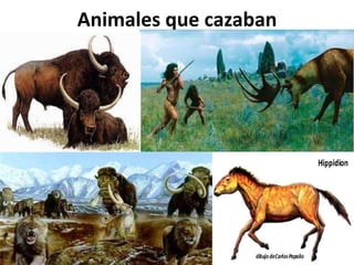 Animales que cazaban