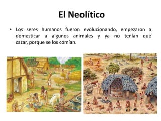 El Neolítico
• Los seres humanos fueron evolucionando, empezaron a
domesticar a algunos animales y ya no tenían que
cazar, porque se los comían.