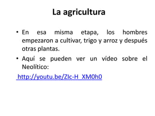 La agricultura
• En esa misma etapa, los hombres
empezaron a cultivar, trigo y arroz y después
otras plantas.
• Aquí se pueden ver un vídeo sobre el
Neolítico:
http://youtu.be/ZIc-H_XM0h0