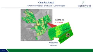 PÁG. 2 10PÁG. 9
Área do talhão
461,52 ha
Case: Faz. Itapuá
Fator de influência produtiva - Compactação
TALHÃO A1
+ 10 sc/ha
 