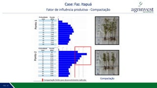 PÁG. 2 11PÁG. 10
Case: Faz. Itapuá
Fator de influência produtiva - Compactação
Compactação
 