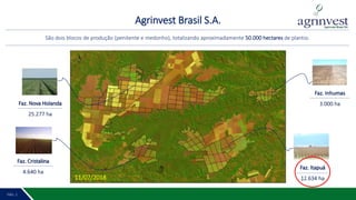Agrinvest Brasil S.A.
PÁG. 2 3PÁG. 2
São dois blocos de produção (penitente e medonho), totalizando aproximadamente 50.000 hectares de plantio.
Faz. Inhumas
3.000 ha
Faz. Itapuá
12.634 ha
Faz. Nova Holanda
25.277 ha
Faz. Cristalina
4.640 ha
11/07/2018
 