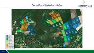 PÁG. 2 6PÁG. 5
Desuniformidade dos talhões
 