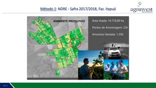 Método 1: NDRE - Safra 2017/2018, Faz. Itapuá
PÁG. 2 7PÁG. 6
AMBIENTE PRODUTIVO
 