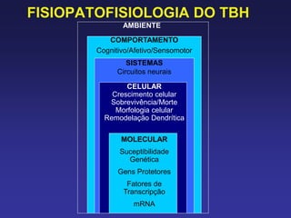FISIOPATOFISIOLOGIA DO TBH
AMBIENTE
COMPORTAMENTO
Cognitivo/Afetivo/Sensomotor
SISTEMAS
Circuitos neurais
CELULAR
Crescimento celular
Sobrevivência/Morte
Morfologia celular
Remodelação Dendrítica
MOLECULAR
Suceptibilidade
Genética
Gens Protetores
Fatores de
Transcripção
mRNA
 