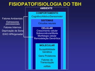 FISIOPATOFISIOLOGIA DO TBH
AMBIENTE
COMPORTAMENTO
Cognitivo/Afetivo/Sensomotor
SISTEMAS
Circuitos neurais
CELULAR
Crescimento celular
Sobrevivência/Morte
Morfologia celular
Remodelação Dendrítica
MOLECULAR
Suceptibilidade
Genética
Gens Protetores
Fatores de
Transcripção
mRNA
Fatores Ambientais:
Estressores
psicossociais
Fatores Internos:
Deprivação de Sono
EIXO HPA/gonadal
 