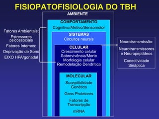 FISIOPATOFISIOLOGIA DO TBH
AMBIENTE
COMPORTAMENTO
Cognitivo/Afetivo/Sensomotor
SISTEMAS
Circuitos neurais
CELULAR
Crescimento celular
Sobrevivência/Morte
Morfologia celular
Remodelação Dendrítica
MOLECULAR
Suceptibilidade
Genética
Gens Protetores
Fatores de
Transcripção
mRNA
Neurotransmissão:
Neurotransmissores
e Neuropeptídeos
Conectividade
Sináptica
Fatores Ambientais:
Estressores
psicossociais
Fatores Internos:
Deprivação de Sono
EIXO HPA/gonadal
 