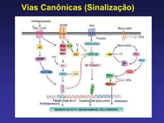 Vias Canônicas (Sinalização)
 