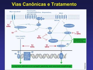 Vias Canônicas e Tratamento
 