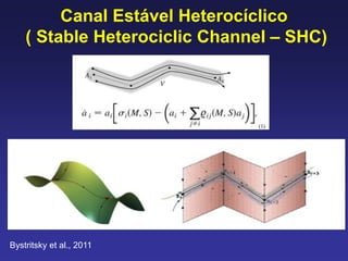 Canal Estável Heterocíclico
( Stable Heterociclic Channel – SHC)
Bystritsky et al., 2011
 