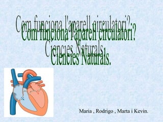 Com funciona l'aparell circulatori? Ciencies Naturals. Maria , Rodrigo , Marta i Kevin. 