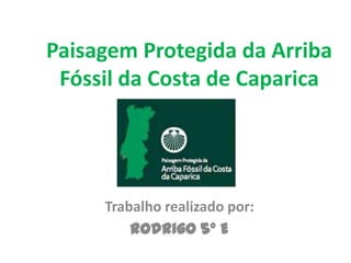 Paisagem Protegida da Arriba
 Fóssil da Costa de Caparica




     Trabalho realizado por:
         Rodrigo 5º E
 