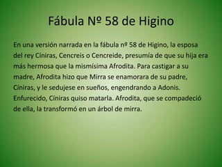 Fábula Nº 58 de Higino
En una versión narrada en la fábula nº 58 de Higino, la esposa
del rey Cíniras, Cencreis o Cencreide, presumía de que su hija era
más hermosa que la mismísima Afrodita. Para castigar a su
madre, Afrodita hizo que Mirra se enamorara de su padre,
Cíniras, y le sedujese en sueños, engendrando a Adonis.
Enfurecido, Cíniras quiso matarla. Afrodita, que se compadeció
de ella, la transformó en un árbol de mirra.
 