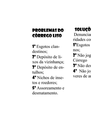 PROBLEMAS DO          Soluçõe
Córrego LISO          Denunciar
                     ridades com
1º Esgotos clan-     1ºEsgotos
destinos;            nos;
2º Depósito de li-   2º Não jog
xos da vizinhança;   Córrego
3º Depósito de en-   3º Não des
tulhos;              4º Não jog
4º Nichos de inse-   veres de an
tos e roedores;
5º Assoreamento e
desmatamento.
 
