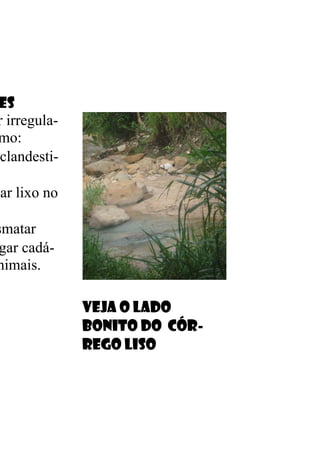 es
r irregula-
mo:
clandesti-

ar lixo no

smatar
 gar cadá-
nimais.

              Veja o lado
              bonito do Cór-
              rego liso
 
