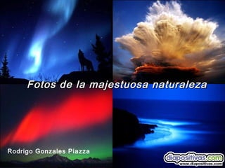 Fotos de la majestuosa naturalezaFotos de la majestuosa naturaleza
Rodrigo Gonzales Piazza
 