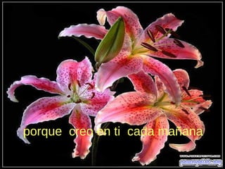 porque creo en ti cada mañana
 