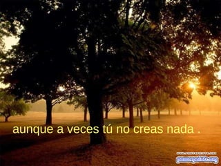 aunque a veces tú no creas nada .
 