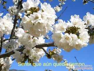 Sentir que aún queda tiempo
 