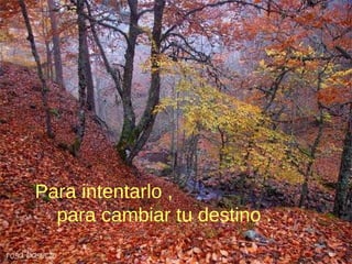 Para intentarlo ,
para cambiar tu destino .
 