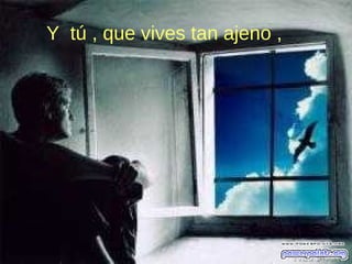 Y tú , que vives tan ajeno ,
 