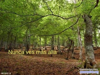 Nunca ves más allá
 