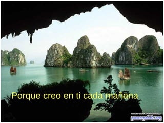 Porque creo en ti cada mañana
 